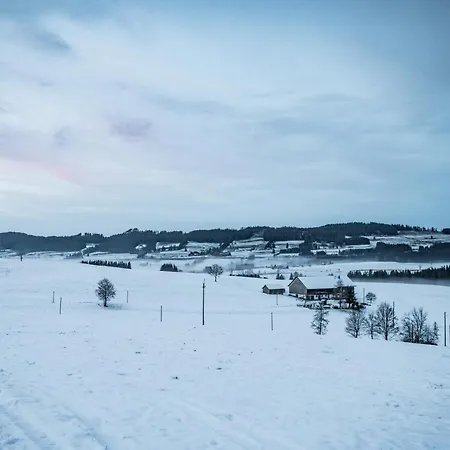 Mika Hof
